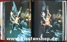 1981Ace.gif (30883 Byte)